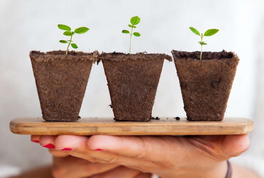 3 Marketing Initiatives to Help Your Tech Consulting Firm Grow in 2020